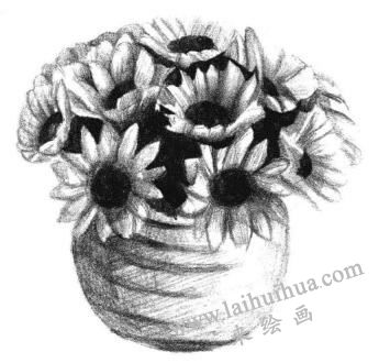 太陽花素描畫法步驟05