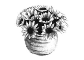 太陽花素描畫法