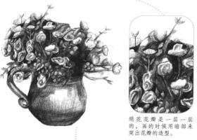 絹花素描畫法