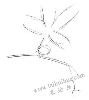 含羞草素描畫法步驟01