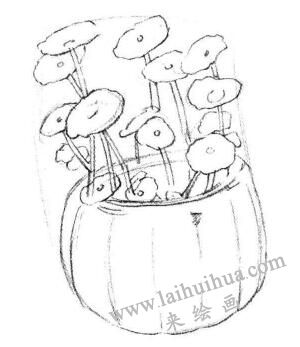銅錢草素描畫法步驟02
