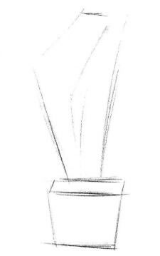 盆栽郁金香素描畫法步驟01