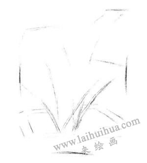 盆栽墨西哥鐵樹素描畫法步驟02