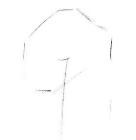 海棠花素描畫法步驟01