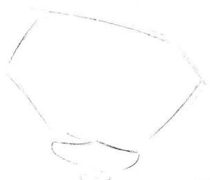 瓶子草素描畫法步驟01