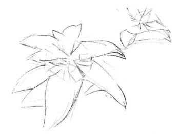 希美麗素描畫(huà)法步驟01