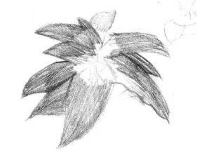 希美麗素描畫(huà)法步驟03