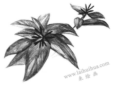 希美麗素描畫(huà)法步驟05