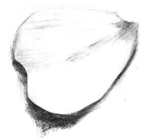 玫瑰花瓣素描畫(huà)法步驟04