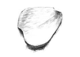 玫瑰花瓣素描畫法