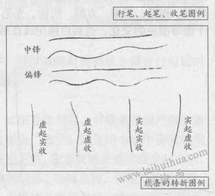花卉的白描畫法：線條的轉(zhuǎn)折圖例