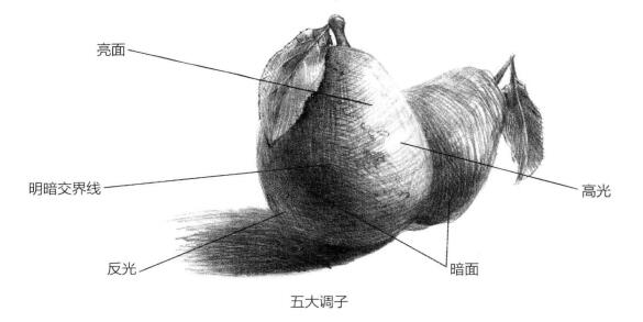 素描繪畫的表現方式：五大調子
