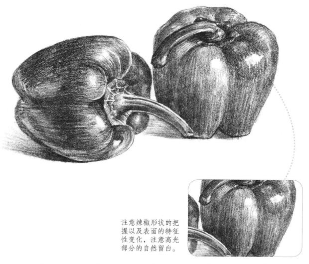 太空椒素描畫(huà)法
