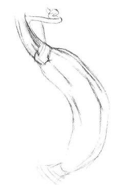 黃瓜素描畫(huà)法步驟02