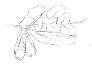 豌豆素描畫(huà)法步驟01