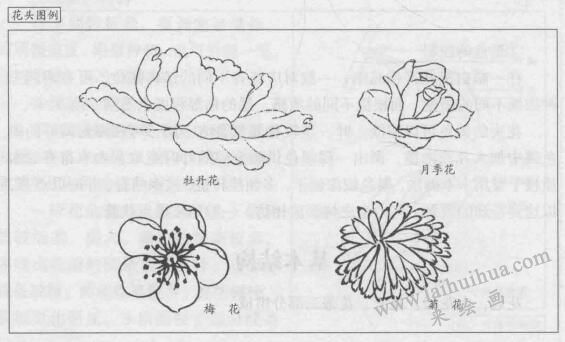 花卉白描畫法的基本結(jié)構(gòu)：花頭圖例