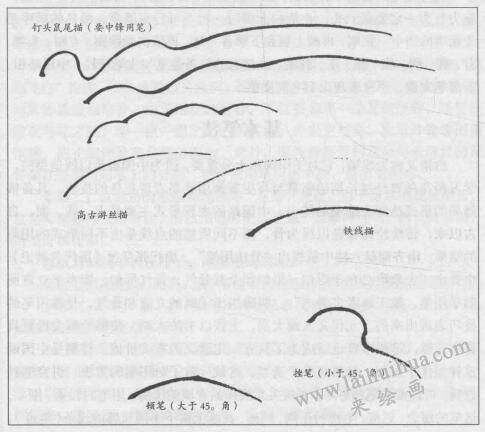 釘頭鼠尾描，禽鳥白描畫法的基本筆法