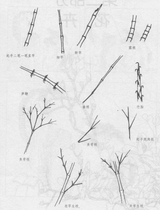 白描竹竿與竹梢的畫法