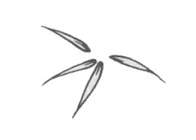 白描竹葉的畫法