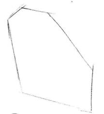 向日葵素描畫法步驟01