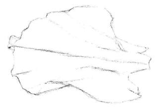 牡丹花瓣素描畫法步驟02