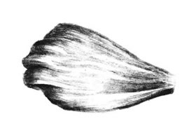 秋櫻花瓣素描畫(huà)法