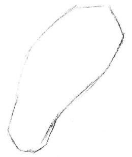 玉蘭花瓣素描畫法步驟01