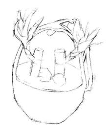 富貴竹素描畫法步驟02