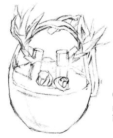 富貴竹素描畫法步驟03