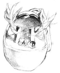 富貴竹素描畫法步驟05