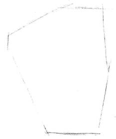 小盆栽水仙花素描畫法步驟01