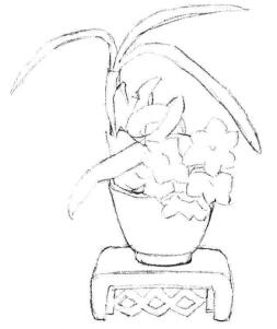 小盆栽水仙花素描畫法步驟02