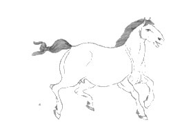 馬的白描作品圖片