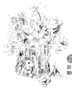 小盆栽木盆花卉素描畫法步驟07