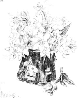 小盆栽木盆花卉素描畫法步驟09