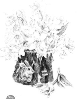 小盆栽木盆花卉素描畫法步驟10