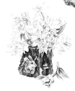 小盆栽木盆花卉素描畫法步驟11