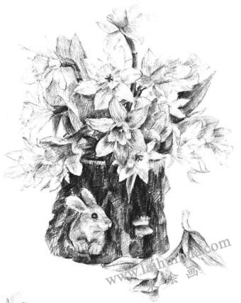 小盆栽木盆花卉素描畫法步驟13