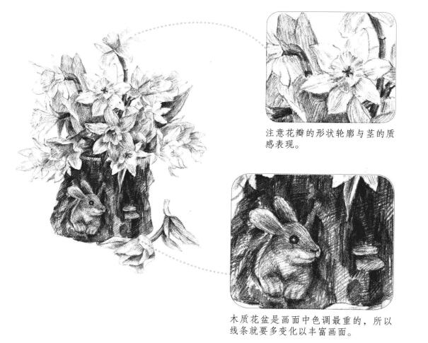木盆花卉素描畫法