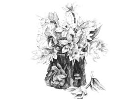木盆花卉素描畫(huà)法
