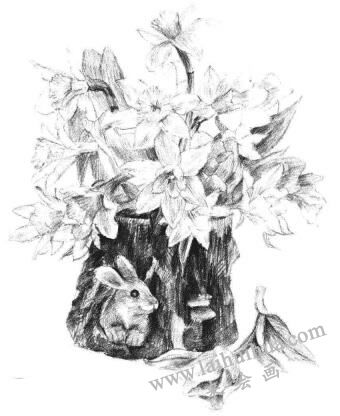 小盆栽木盆花卉素描畫法步驟12