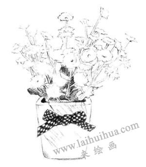 小盆栽香菊素描畫法步驟07