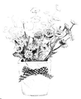 小盆栽香菊素描畫法步驟08