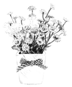 小盆栽香菊素描畫法步驟10