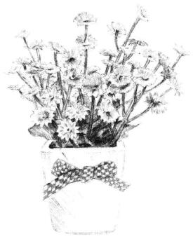 小盆栽香菊素描畫法步驟11