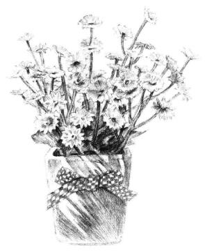 小盆栽香菊素描畫法步驟12