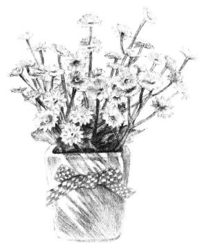 小盆栽香菊素描畫法步驟13
