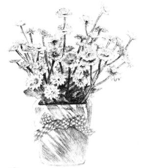 小盆栽香菊素描畫法步驟14