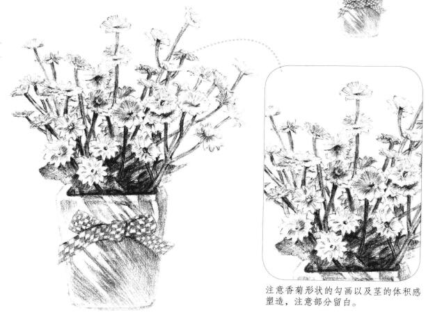 香菊素描畫法