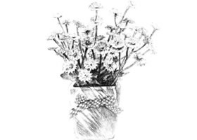香菊素描畫(huà)法